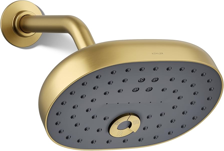 Kohler · Statement Multi-Function Shower Head